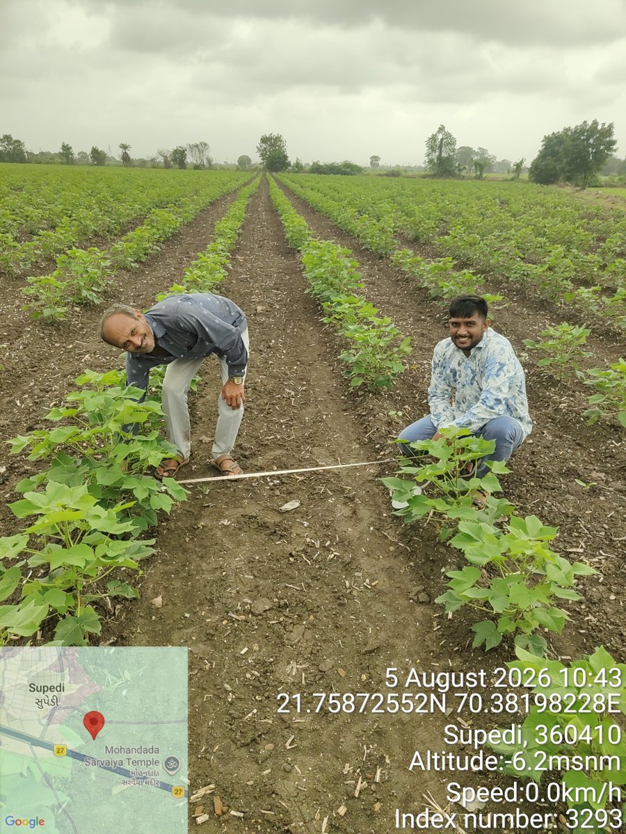 chauhan49680507's tweet photo. રાજકોટ જિલ્લાના ધોરાજી તાલુકાના ગ્રામસેવકઓ દ્વારા ICM/CST કપાસ ક્રાંતિ યોજના અંતર્ગત સ્થળ ચકાસણી કરવામાં આવી.
@Guj_gramsevak
@gujagridept
@rcmeenaias
@Dwivedi_D
@jitu_vaghani
@CMOGuj
@irushikeshpatel
@GujPRHDept
@DDORAJKOT1 @CollectorRjt 
@DaoRajkot https://t.co/PEPvLP1fSD
