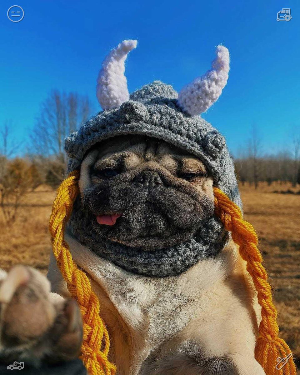 potnv's tweet photo. Life offers a variety of flavors; greet them with a grin. Tackle worries gently, combat weariness with comfort, and welcome each day with enthusiasm. Fleeting moments shape the memories we hold dear. 😳 https://t.co/rhR6IMGua3