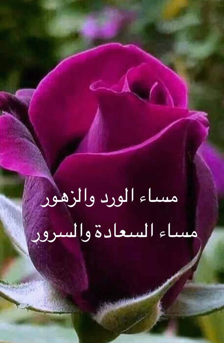 Muhammedja4994's tweet photo. @omniya1178208 https://t.co/nquumPhmoT