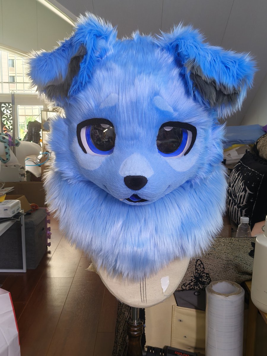 Dolomite2324's tweet photo. dog！！🐶
#furrycomic #fursuit #furryㅤㅤㅤ https://t.co/itYRzvr4eT