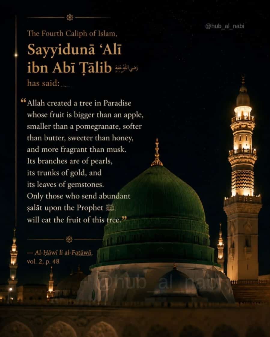 SalawatFrames's tweet photo. https://t.co/e4FFF87Fo8