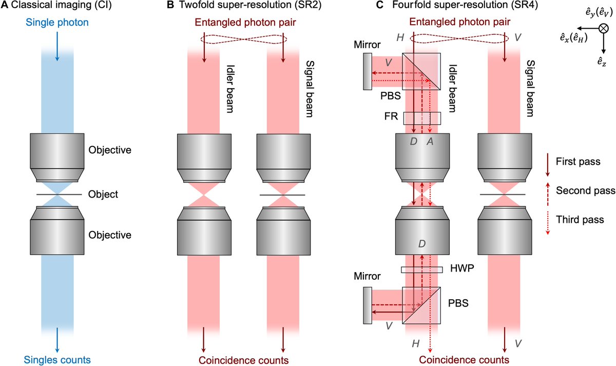 aympontier's tweet photo. Trois ans après avoir découvert que l'intrication quantique de photons pouvait améliorer la résolution des microscopes optiques, Caltech 🇺🇸 annonce avoir réussi à exploiter le phénomène « quadruplant leur résolution par rapport à la microscopie classique »
https://t.co/0THsSllLAM https://t.co/SULLp3RH34