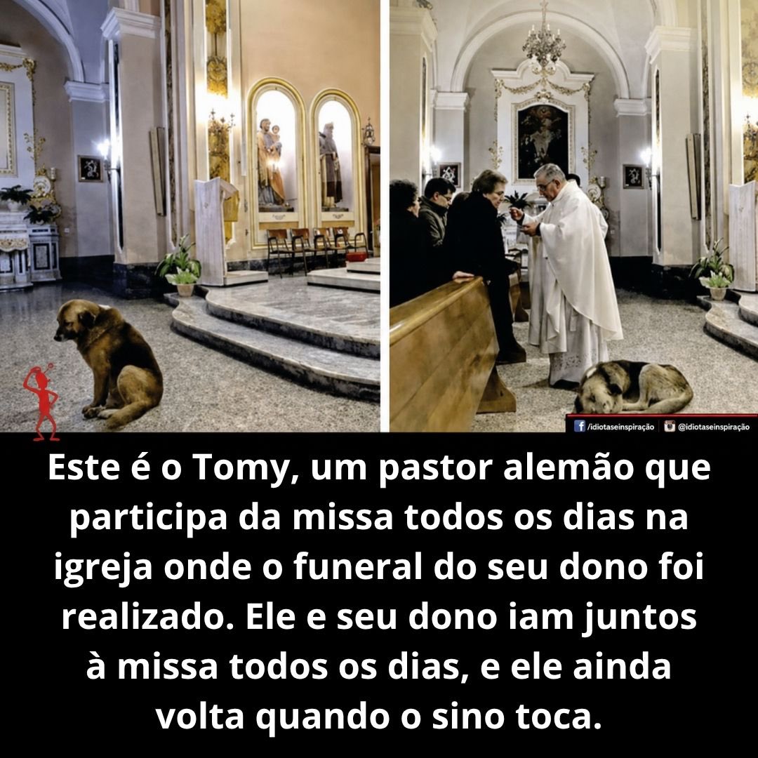 abracetradicao tweet picture