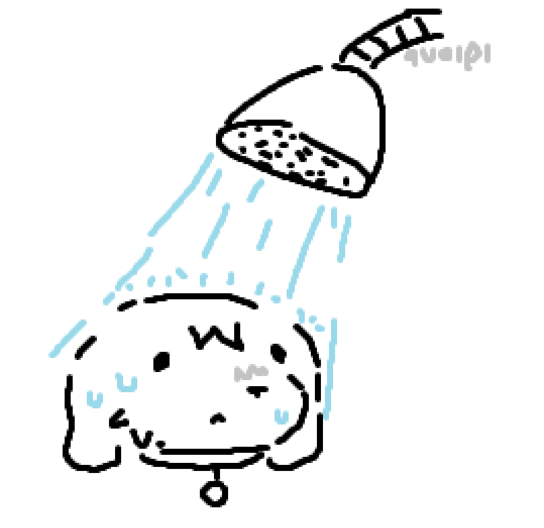 quoipi's tweet photo. sometimes i shower my puppy and she gets wet as fuuuuuuck lol https://t.co/pnqWuQwoX3