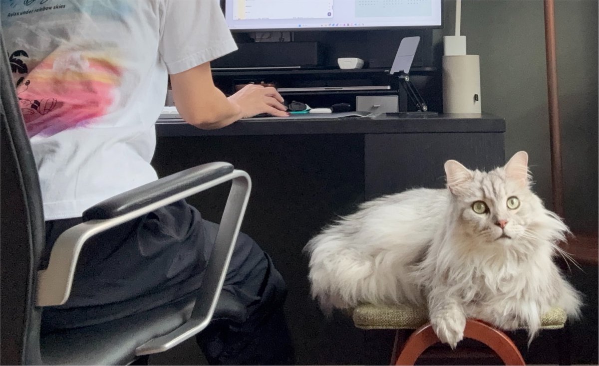 eira_m88's tweet photo. 8/8は猫の日だった。我が家の猫さまも、世界中の猫さまも、みんな幸せでありますように。 https://t.co/f1xIeVaHz0