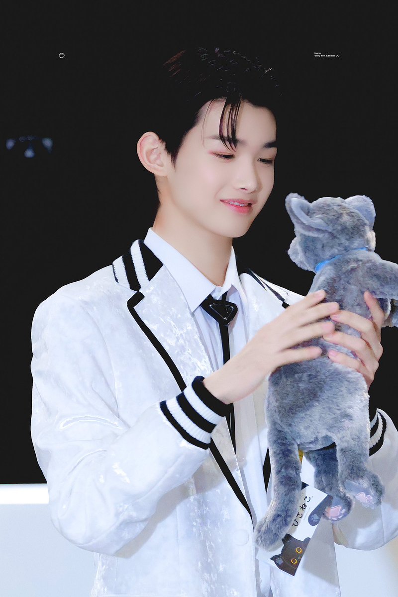 Byodunge's tweet photo. 민트인형이랑 죠둥이🐈‍⬛🩶 https://t.co/0S8urX7s97