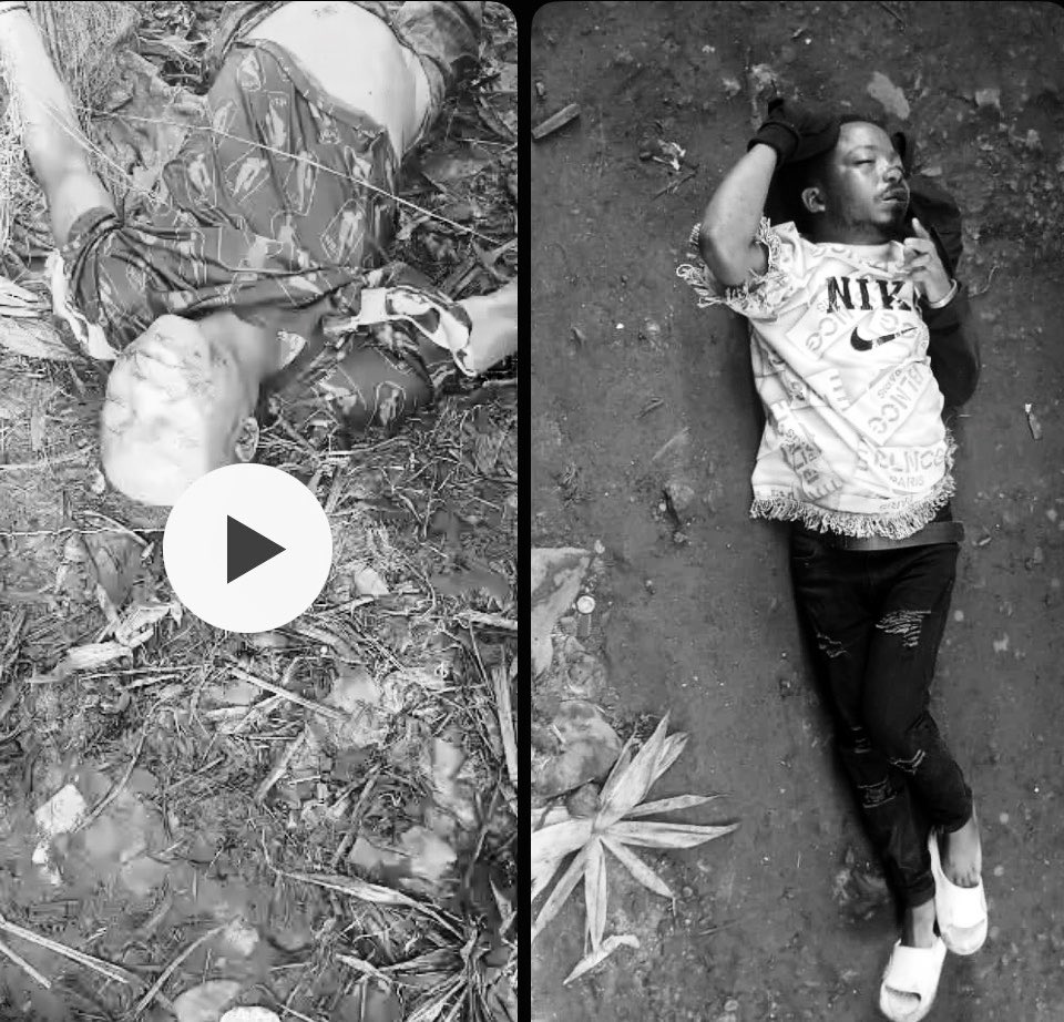 michombero's tweet photo. #Goma : les découvertes de corps sans vie suscitent l’inquiétude dans les zones contrôlées par la coalition rebelle M23-RDF

La découverte de plusieurs corps sans vie samedi 8 août à Goma et dans le territoire de Nyiragongo alimente l’inquiétude parmi les habitants des zones sous contrôle de la coalition M23-RDF.

À Goma, deux corps ont été retrouvés dans la matinée, l’un flottant sur le lac Kivu et l’autre au marché de Kituku, à proximité d’une position et d’une prison contrôlées par la coalition rebelle. Le corps de Nathanaël Kamana a ensuite été découvert dans le territoire voisin de Nyiragongo dans une salle de classe de l’Institut Kibumba à Kibumba. 

Les circonstances de ces décès restent à établir. Face à cette succession de découvertes, des habitants demandent à la communauté internationale d’agir pour mettre fin à la guerre dans l’Est de la RDC. 

Ils appellent également les organisations internationales compétentes à mener des enquêtes indépendantes afin d’établir les circonstances de ces décès, d’identifier les éventuels responsables et de faire en sorte que les auteurs de violations répondent de leurs actes.