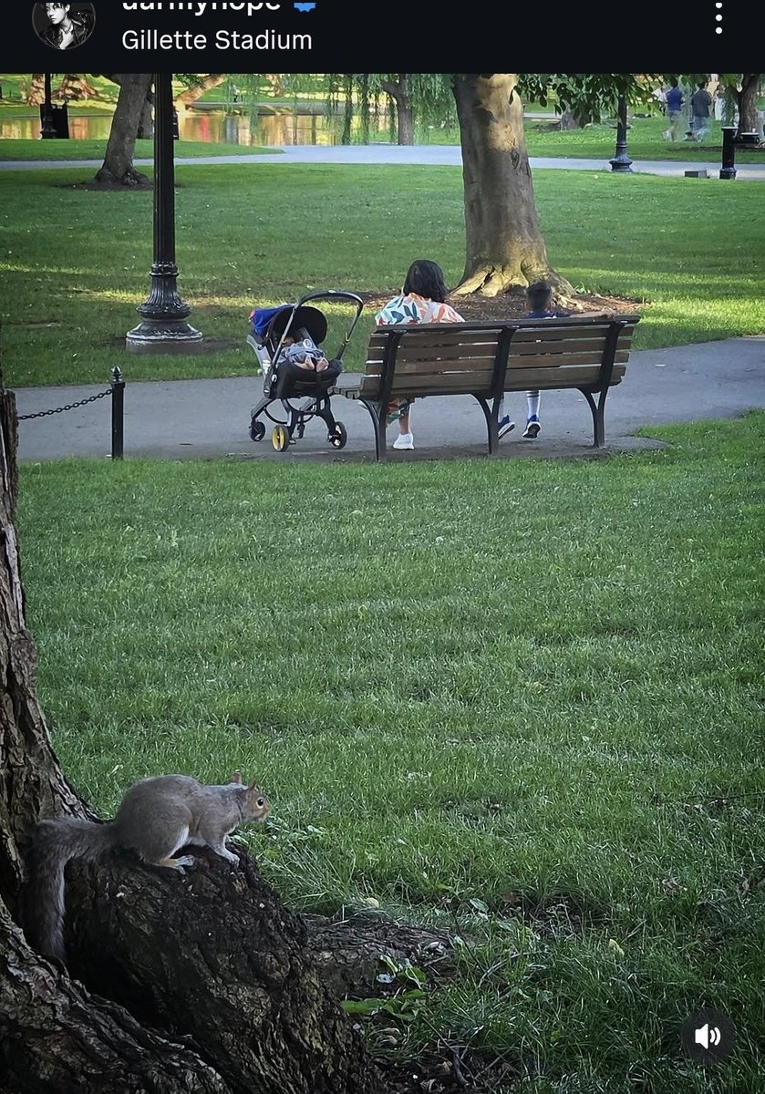 DaechwitaDiva's tweet photo. I was so confused,  like why is he showing us a random woman and kids is he soft launching his family 😭

Then I saw the squirrel https://t.co/4mBExsCzHc