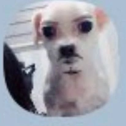 viennsaint's tweet photo. @Lizzief5p @Yuelleehn5 @Piliq31 @wonnievampp Pero si yo no sé quién es Mao Zedong, solamente lo dije por el señor que sale en la foto, me importa una mierda sus peleas de fandoms https://t.co/ZzXVZnv7uC