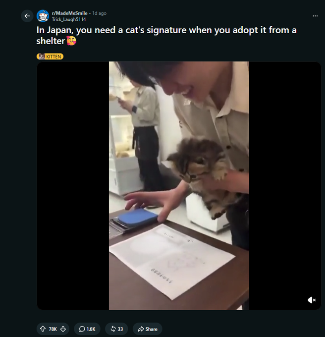upsyndroms's tweet photo. Mert asked for more cat coin

There's currently a new TREND in Japan where a Cat's signature is required in order to adopt them &amp; it's going GIGA-VIRAL on Reddit  
83K+ UPVOTES in just a few hours.
National cat day too
https://t.co/yrLQ0sk5Ac https://t.co/Lkead3BDdE