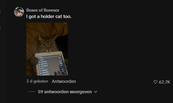 Viruscoinpf's tweet photo. This is a perfect cat meme because it is literally a holdercat. 27.5M views in 4 days aswell and it has not been devved before. Even this comment with 62.7K likes is calling her a holdercat
https://t.co/zmi0zXbqIT https://t.co/7SempwJTqH