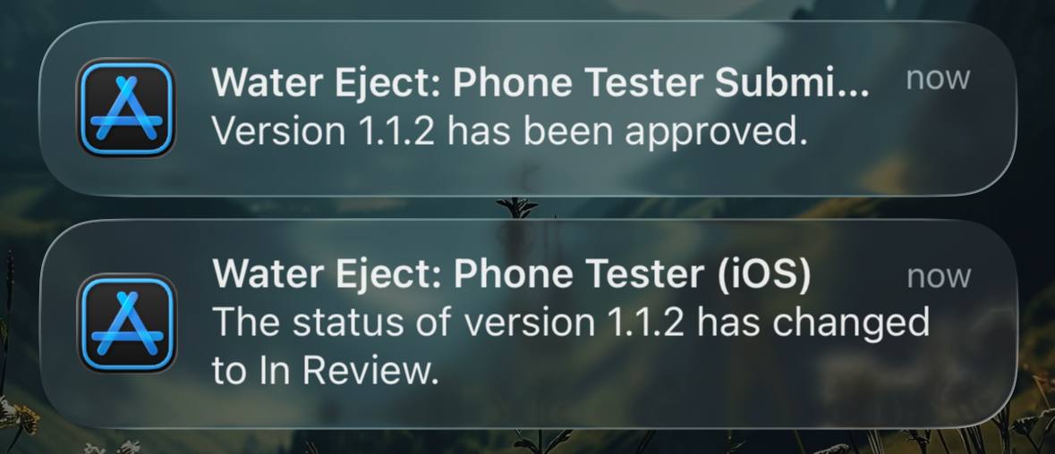 pchela_man's tweet photo. App review went through suspiciously fast.

Saturday evening. Reviewer was probably rushing to a party 😅 https://t.co/EcGlXGMWKB