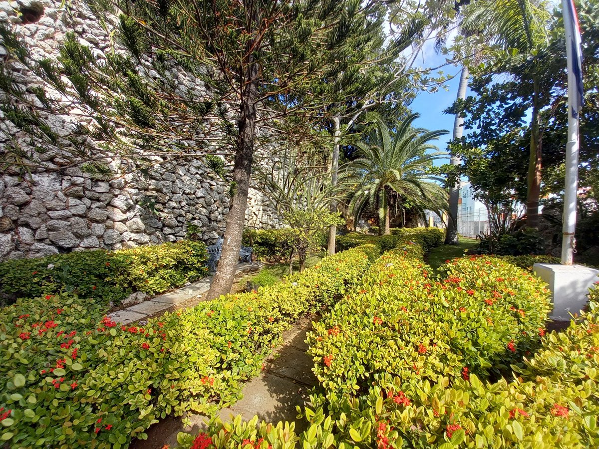 MuseoFragua's tweet photo. 🇨🇺 100 años de fidelidad se celebrarán con la siembra de un árbol por la paz, actividades con la comunidad de Cayo Hueso entre otras acciones que relacionan el pensamiento martiano ✒️ y fidelista. https://t.co/0TMVHalPlm