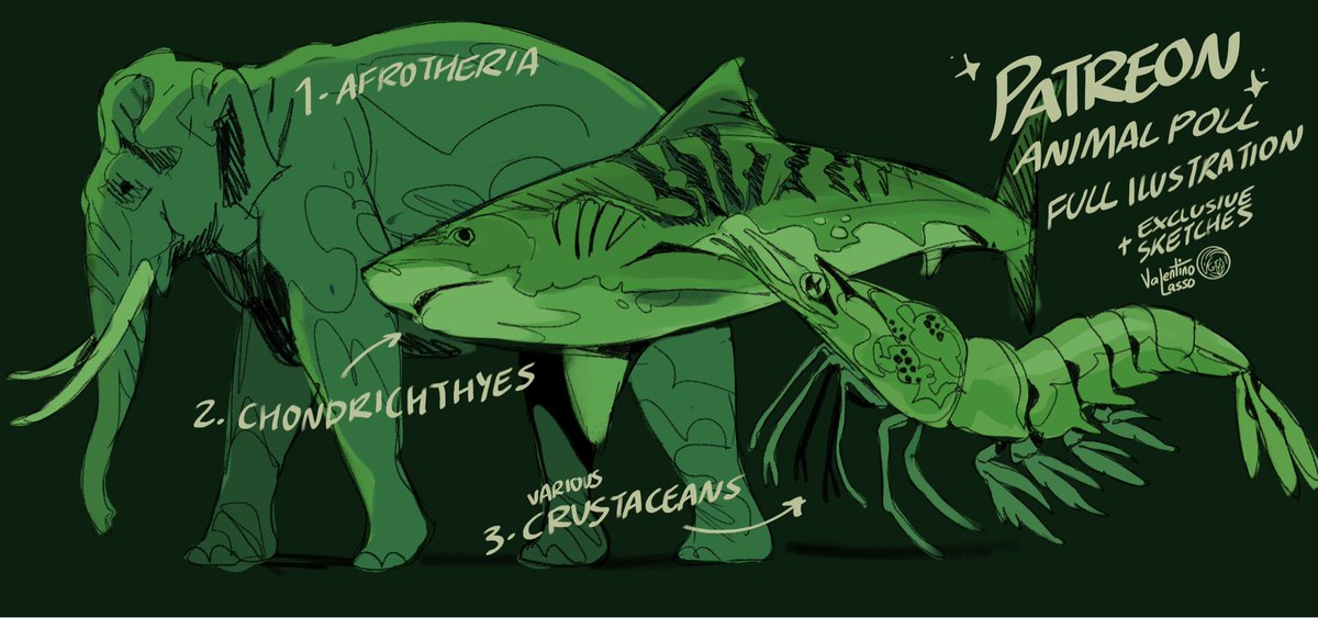 valentino_lasso's tweet photo. ANIMAL POLL!🌿
You can now vote on my Patreon and choose which group of animals I’ll make a full illustrations and sketch explorations! 🐘🦈🦀
🔗 on comments https://t.co/5Ooxnt7lwu
