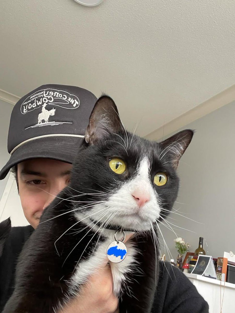 hudsonwlove's tweet photo. Hudson and Gizmo 🐈‍⬛ 
Happy international cat day 🫶🏻 https://t.co/9K1WB2qfXU