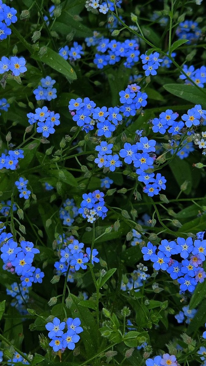 cozyycabin's tweet photo. The Magic of Blue https://t.co/8uMXjsNY0f