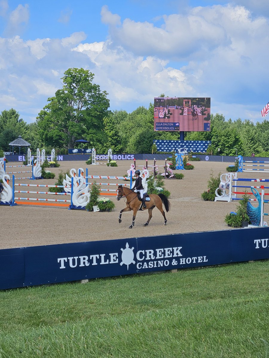 BrRiceCrusader's tweet photo. Enjoying the day at the Traverse City Horse Shows! US Equestrian riders. #UpNorth #PureMichigan https://t.co/ngWinmItUp