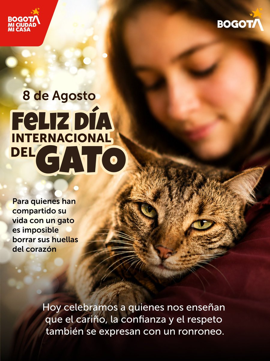 AnimalesBOG's tweet photo. Hoy celebramos el #DíaInternacionalDelGato, una fecha dedicada a todos los michis que nos regalan su confianza, sus masajitos en las cobijas y su amor incondicional con ronroneos.🐈✨

En Bogotá promovemos la adopción, la tenencia responsable y el respeto por todos los gatos.😽💚 https://t.co/7WAqFFhxLT