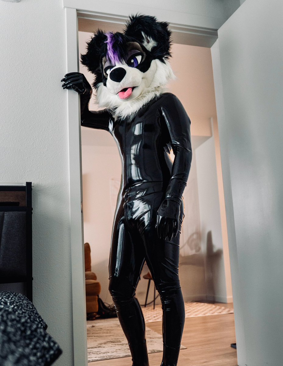 EatonDoggo's tweet photo. 4. Come here often? Happy #squeakysaturday #shinysaturday https://t.co/7EwllaVLSO