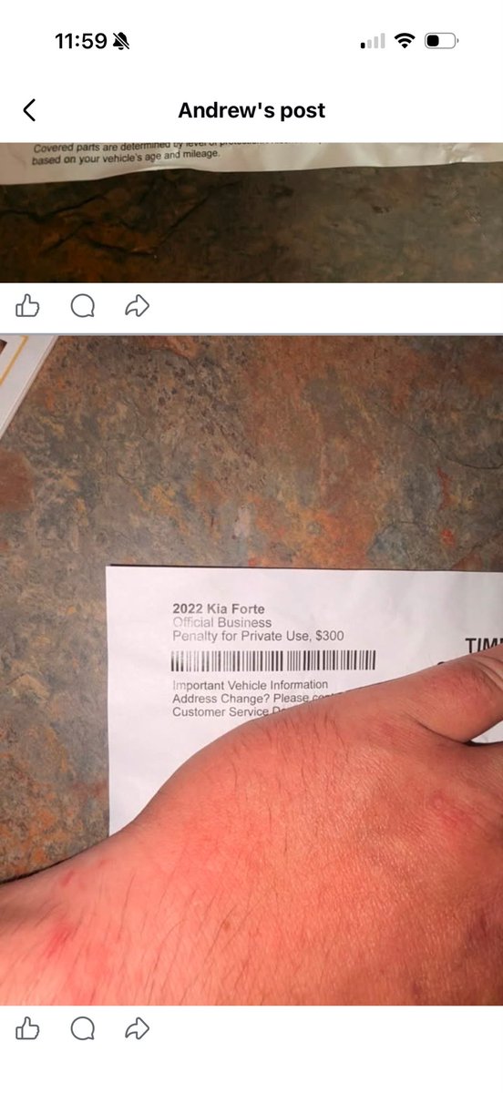 DAITALIANHATIN's tweet photo. SCAM ARTIST PLEASE EVERYONE CALL AND FUCK WITH THEM!!!! Imagine if this piece of shit took advantage of your grams. https://t.co/EAFSHLqIlE