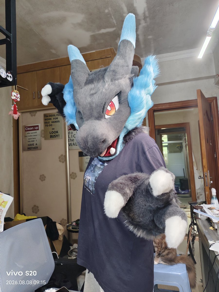 mulangzai1122's tweet photo. It's all ready to go to its new home!🥳🥳
Price: 1,800＄ (including shipping)
Suitable for heads 58-60cm, hands are universal size
Additional options:
Tail/Wings, price: 300＄/500＄
If you like it, feel free to reach out to me on private message!🥰🥰
#fursuit #fursuitmaker https://t.co/Gggj5LCt1X