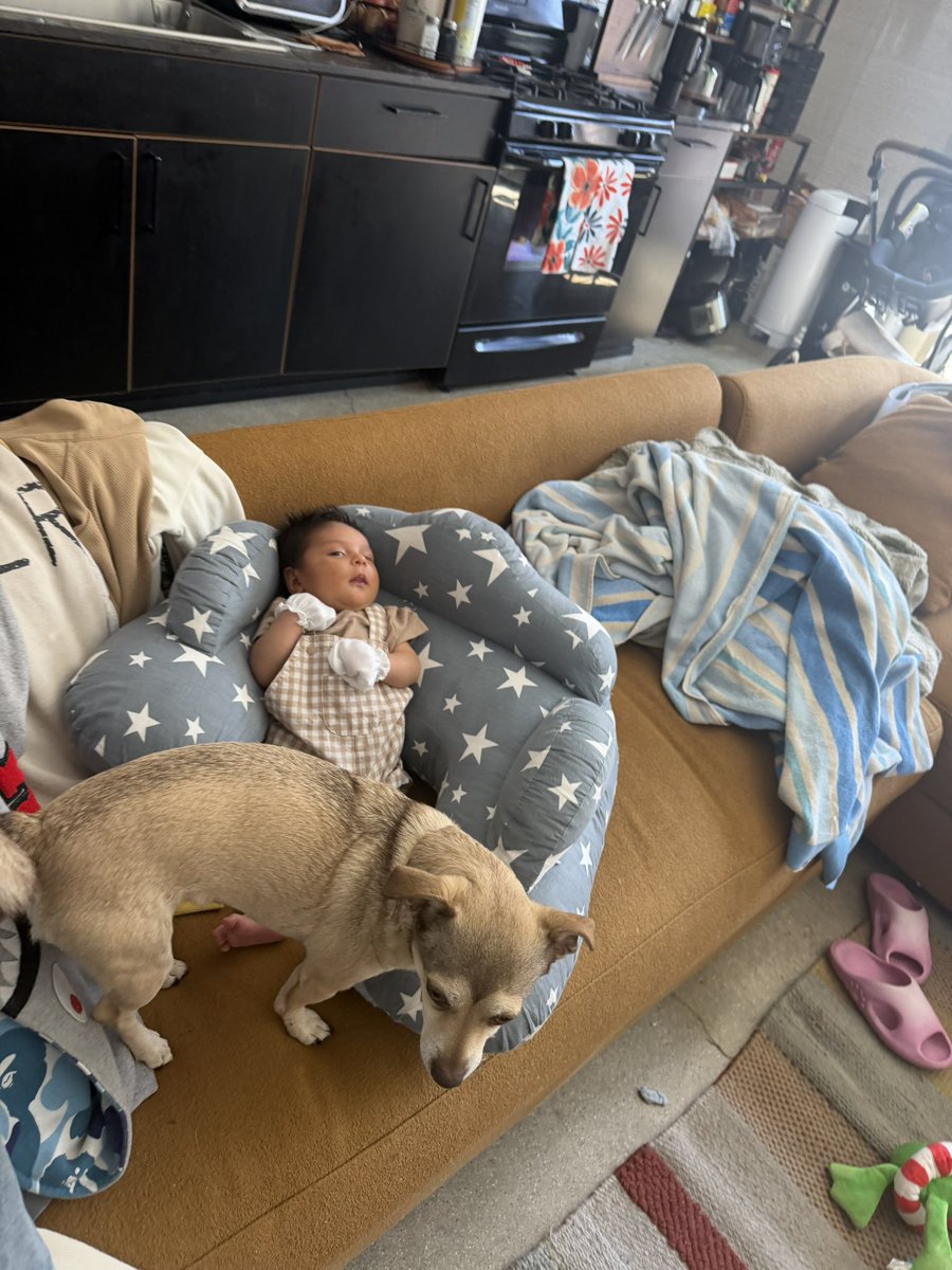 SivvySav's tweet photo. Whenever I leave my baby unattended my chihuahua clocks in which really surprises me as I thought she’d take time to get used to him but that’s legit her baby https://t.co/2gbFq2ACTD
