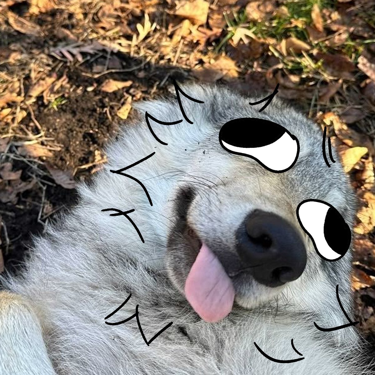 thecatidk's tweet photo. Silly #wolf #animal #art https://t.co/hFNRydZRyx