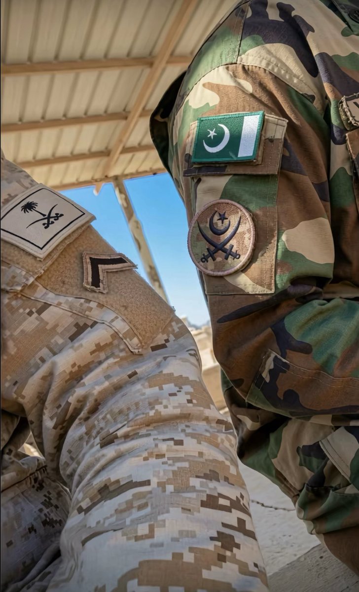 Army_SA1's tweet photo. 🇵🇰🇸🇦 https://t.co/gbZBj1gb05