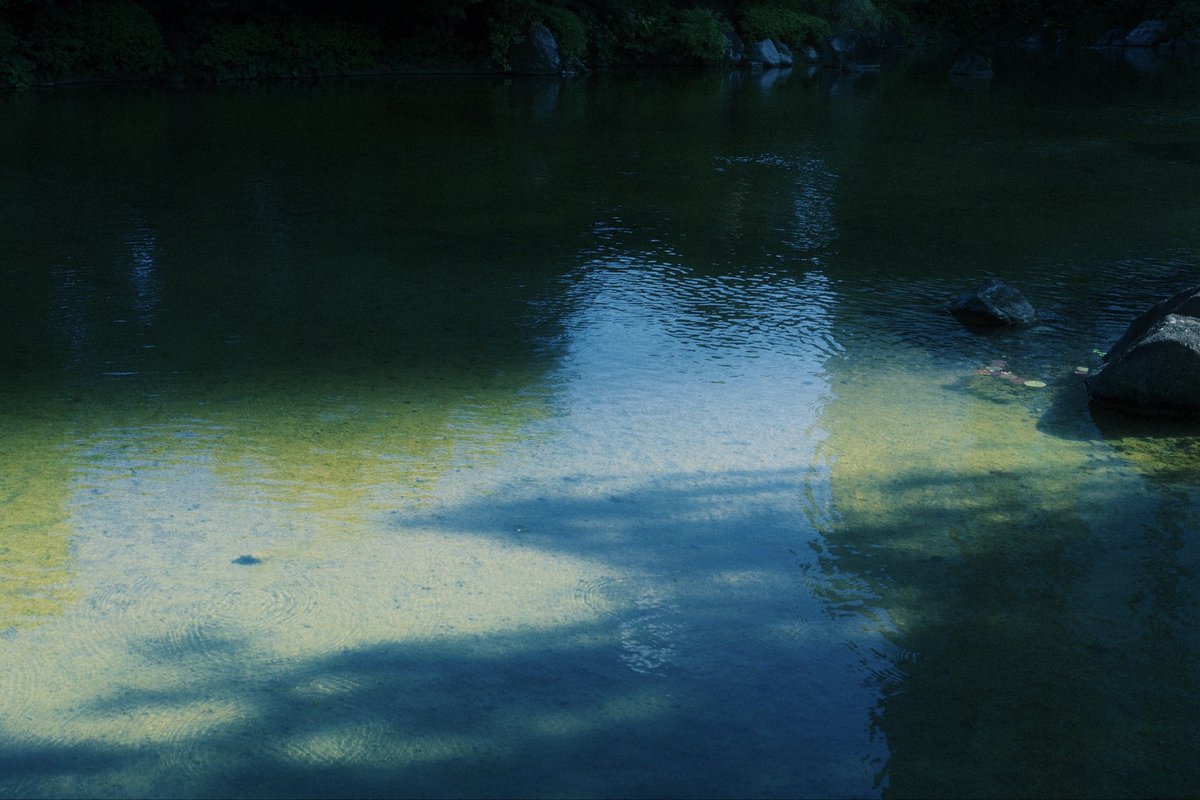 hani_82_3's tweet photo. 夏の緑、水辺

#FUJIFILM  #xe5 https://t.co/6EtUPl4HZc