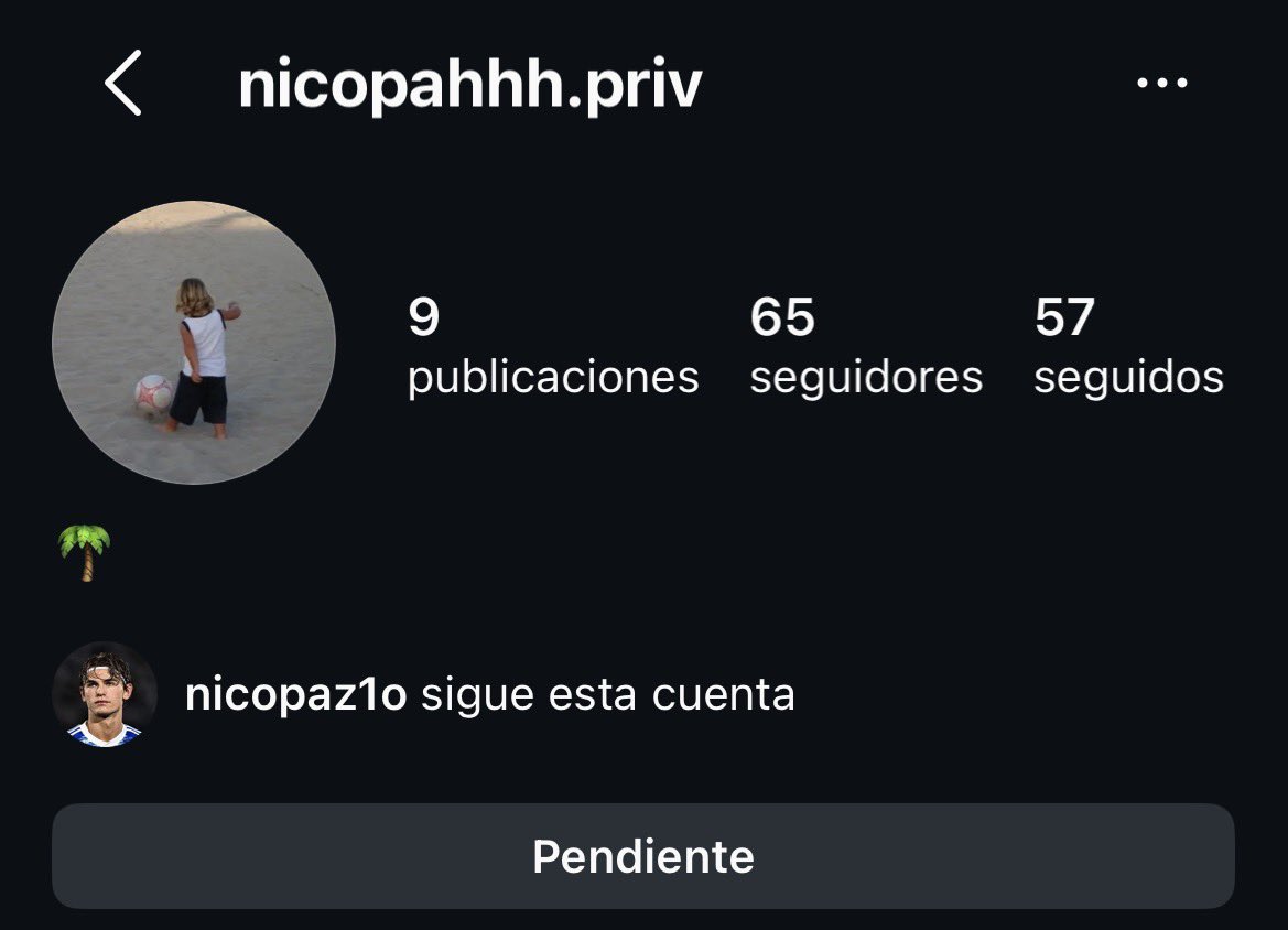 danibesitoss's tweet photo. tiene el user que literal le ponen a su side en los aus JJAJAJAJAJ te amo nico pah https://t.co/hAq02FXuO9