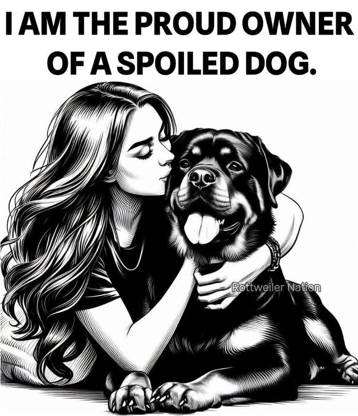 KatePaws3's tweet photo. Visit my telegram to see how spoilt my dog🐕is
👉🏻https://t.co/nG6DNZ2Ito https://t.co/woaWabAV6s