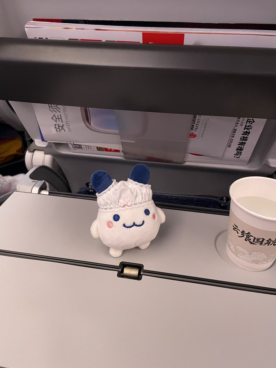 be__proud__of's tweet photo. みみっちはじめての飛行機　12時間お利口さんでした https://t.co/sRJLDHudfP