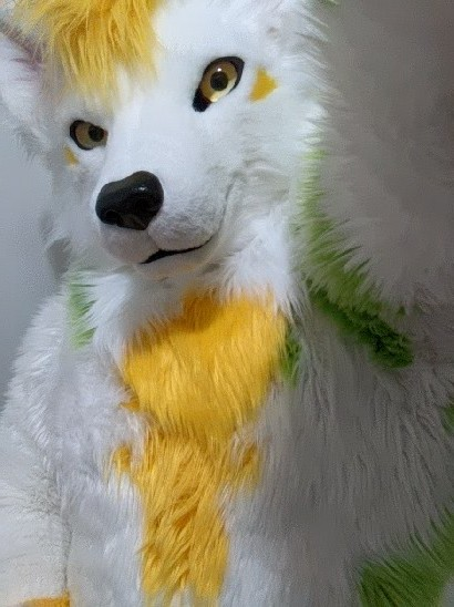shougetsu69's tweet photo. ただの再掲 
📸: @/racoonwolf, 兔擠 https://t.co/aiLa0zx1O9
