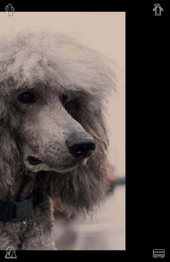 mikipedia1114's tweet photo. 💔Park walk with girlfriend Talk about girlfriends946296Cheese Pasta The cheese is sliced https://t.co/SVqcQD5oHN