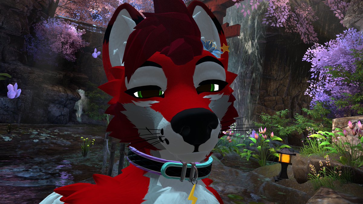 wuffboy's tweet photo. Hello everyone! :3 https://t.co/GrMhPWXvWd