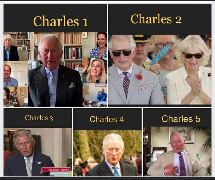 ImalaLittlewolf's tweet photo. @AusRepNEWS @HaveeSnowball That's not the real Charlie boy, as the real one is long gone https://t.co/YouZmoOFpg