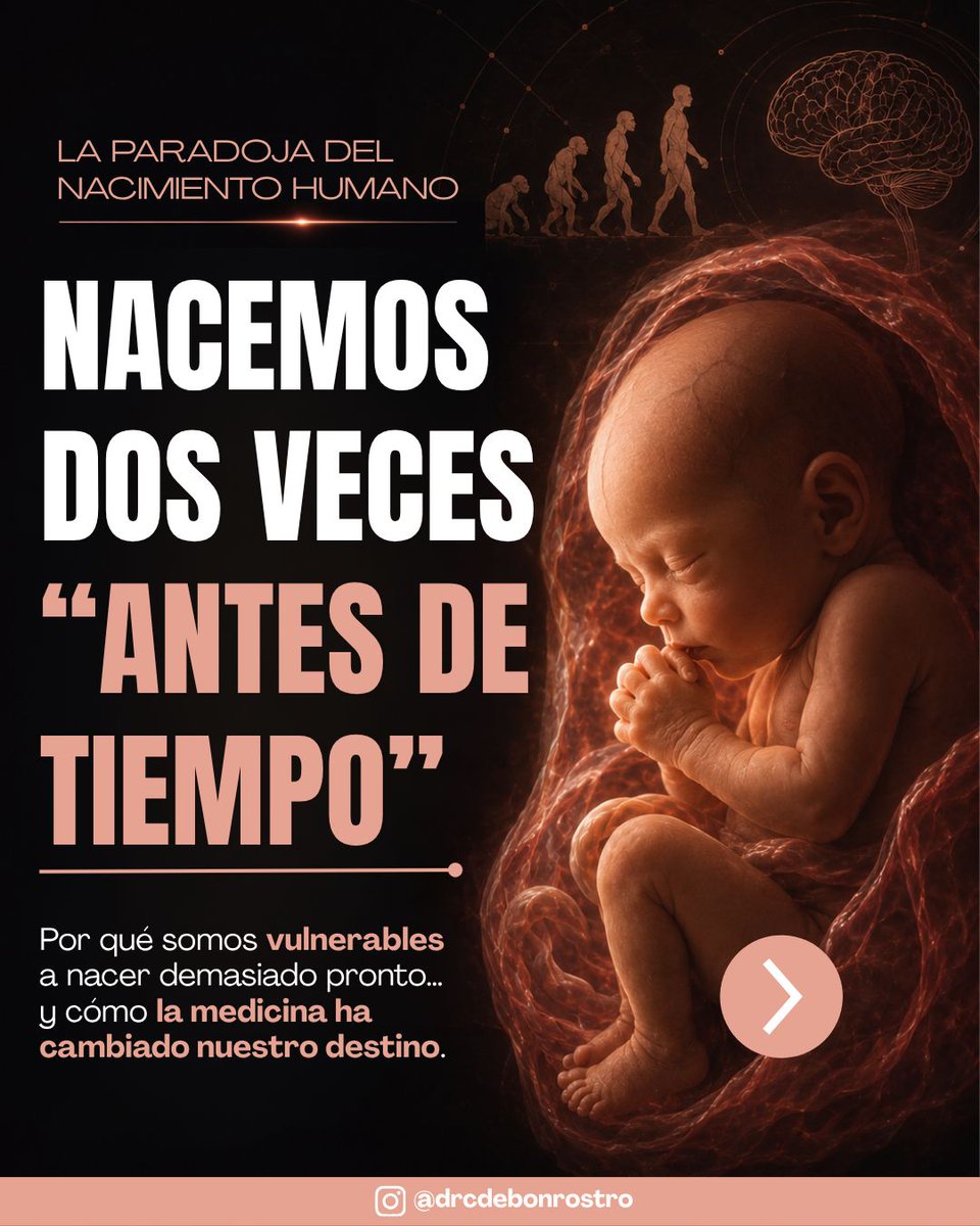 drcdebonrostro's tweet photo. ⚠️ EL SER HUMANO NACE DOS VECES "ANTES DE TIEMPO"

Por qué somos vulnerables a nacer demasiado pronto… y cómo la medicina ha cambiado radicalmente nuestro destino. 🤱 

Dentro #Hilo 🧵 

#Obstetricia #Prematuridad #Neonatología https://t.co/nYq44fK9UD