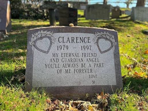 pow_riah's tweet photo. Happy International Cat Day to Clarence (79-97) 🐾❤️ RIP to this sweet little legend. Forever a part of Mariah’s family and the Lambily. 🕊️ https://t.co/QUX3RcR7dw