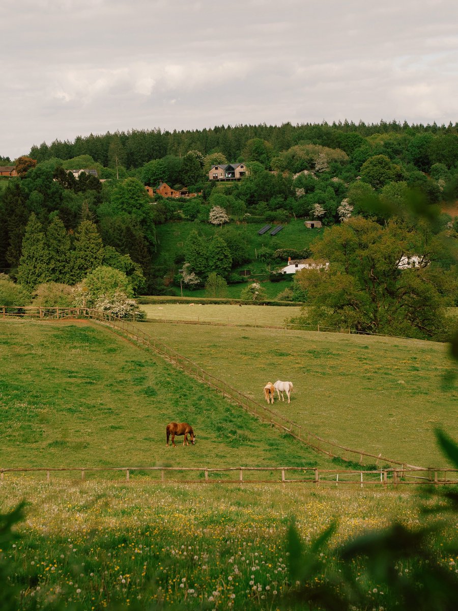 echoesofworld's tweet photo. English countryside https://t.co/bxUY4VsTal