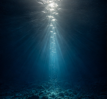 Divemaster_hyde's tweet photo. 深い瞳の奥、まだ知らない海がある

#癒し #海のある暮らし #水中世界 #静寂 #diving #oceantherapy https://t.co/PDBRqWnnTT