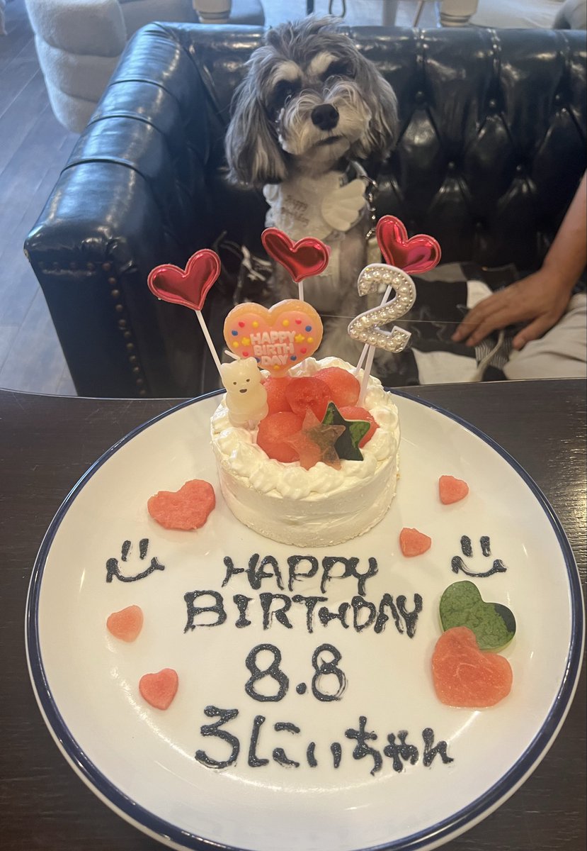 robinicohaha's tweet photo. 昨夜はろにぃのお誕生日会
最前で参加ꉂꉂ(๑˃▿︎˂๑)ｧ,､'` https://t.co/lsaCR1McJm