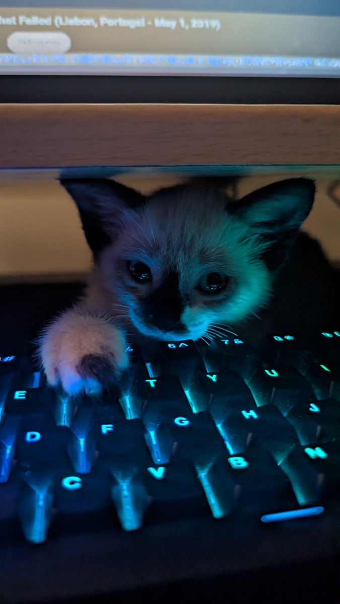 byharnm's tweet photo. :3 https://t.co/s1ssgBD4xD
