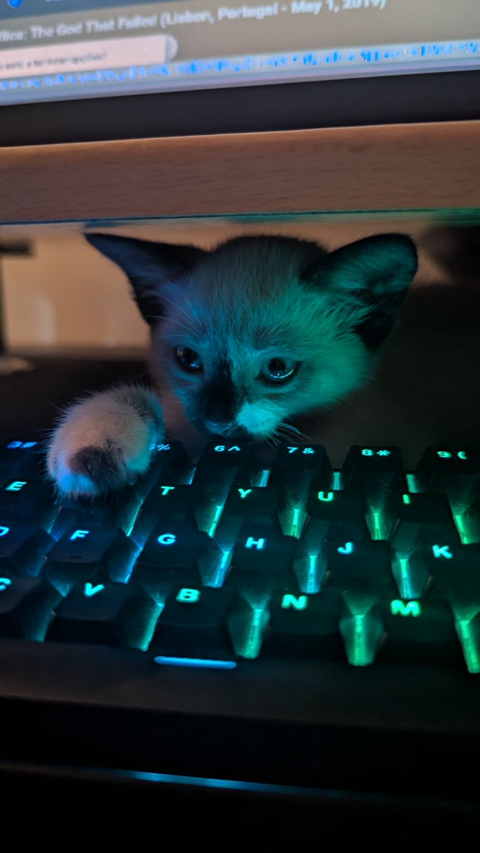 byharnm's tweet photo. :3 https://t.co/s1ssgBD4xD