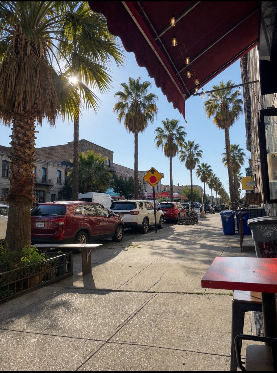 BruceStyle_'s tweet photo. Need palm trees in Bushwick https://t.co/GStpcOhOHw