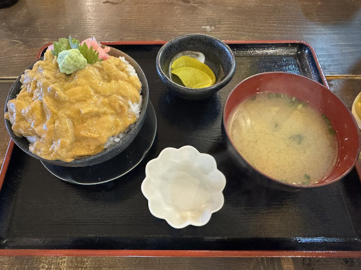 td05h's tweet photo. 朝からウニ丼♪
#ゴーゴー食堂 https://t.co/BpIkGEbfY0