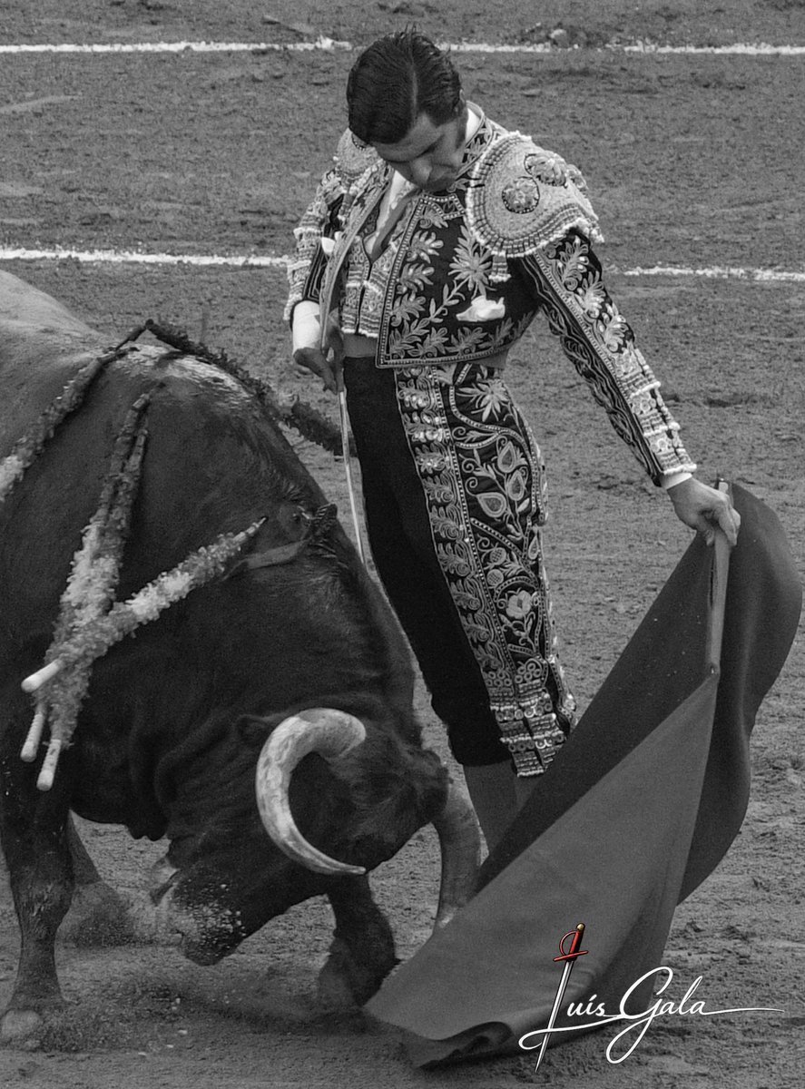 Azabache_y_Oro's tweet photo. Morante de la Puebla en el Puerto de Santa María. https://t.co/lNgeE5xtDd