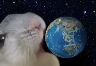 nailong155's tweet photo. there is a new viral trend of animals licking the earth

5m views - https://t.co/H7DX2H3Va6

350k views - https://t.co/GBSBsTsjBS https://t.co/eHl4qFNc5H
