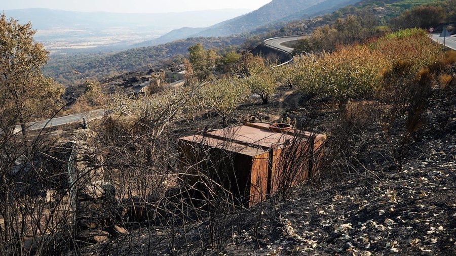 _constitucion78's tweet photo. ❌ 2 años de prisión 

🔸Provoca 7 incendios forestales en el Valle del Jerte
🔸La Audiencia Nacional de Cáceres acuerda que no entre en prisión a cambio de nombre volver a delinquir 

❌ No entra en prisión https://t.co/25axJVIvmD