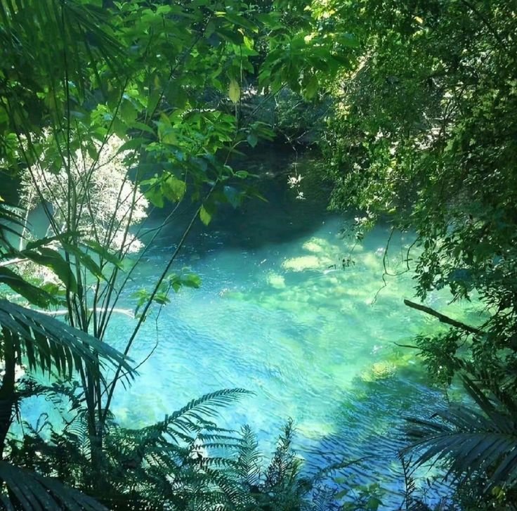 elyradream's tweet photo. when nature dressed in blue and green https://t.co/urFyrXKqKw