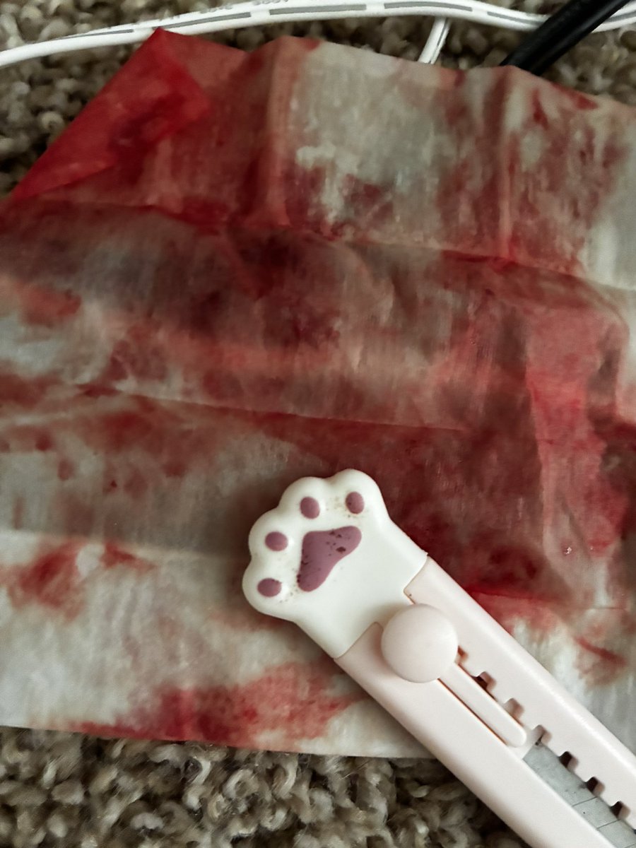 tinypetcats's tweet photo. FAKE BLOOD!!
#slittwt #shedtwt #shtwt #988twt https://t.co/iiV6eKwXe3